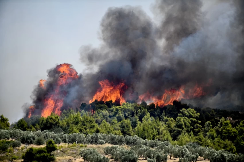 Φωτιά στην Κορινθία: «Μάχη» με τα διάσπαρτα μέτωπα - «Δεν ξεκίνησε από αμέλεια»